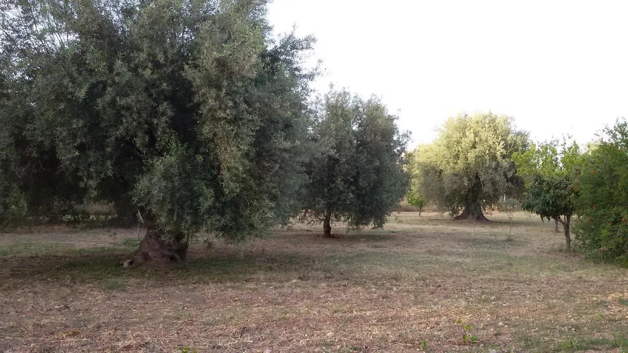Dimore Del Carrubo - Openspace Con Piscina Avola 0*,  Italy